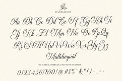 Gastonia Script Product Image 8
