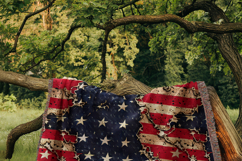 250th Anniversary Backgrounds Seamless Digital Paper Bundle Product Image 9