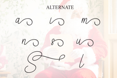 Santaclaus Product Image 8