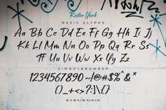 Roster York Casual Handwritten Font Product Image 8