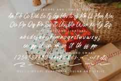 Christmas Frost Product Image 8