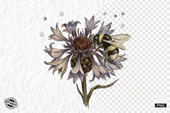 1920 Botanical Summer Wildflowers Clipart Product Image 1