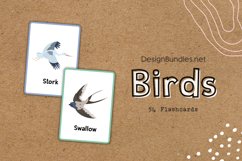54 Birds Educational Flashcards Product Image 3