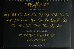 Mallia Handwritten Font Product Image 8