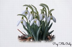 Snowdrops Clipart Bundle PNG Product Image 9