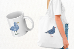 Hand-Drawn Summer Seagull Clipart Product Image 3