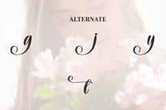 Delight Product Image 8