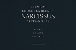 Typhera Elegant Serif Font Product Image 8