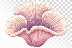 Underwater Coral Reef Sea Anemone Pastel Colors PNG Summer Product Image 1