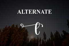 Night Product Image 8