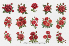 15 Bundle Watercolor Red Rose Romantic Floral Flower Elegant Product Image 8