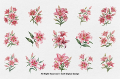 15 Bundle Watercolor Red Lily Flower Botanical Aesthetic Product Image 8