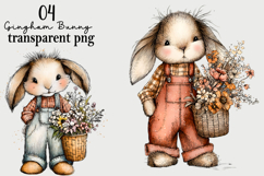 Gingham Bunny PNG Watercolor PNG Product Image 1