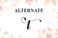 Autumn Product Image 8