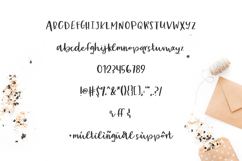 Party Dress Script Product Image 8