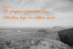 Reposida Brush Font Product Image 8