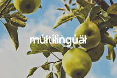 Green Apple - Vintage Sans Serif Product Image 8