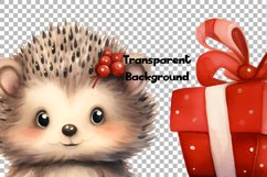 Chrisrtmas hedgehog Watercolor 50 Cliparts Collection Product Image 8