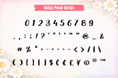 Daisy Petal - Floral Font Duo Product Image 8