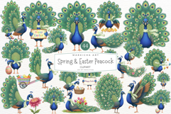 Spring &amp; Easter Peacock Clipart Product Image 1