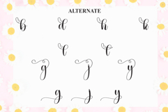 Baby Daisy Product Image 8