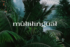 Petrichor - Expanded Serif Product Image 8