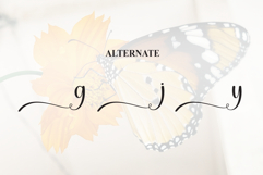 Butterfly Product Image 8