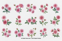 15 Bundle Watercolor Pink Dahlias Flower Soft Floral Decor Product Image 8