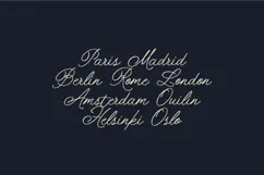Folke Ornamental Signature Script Font Product Image 8
