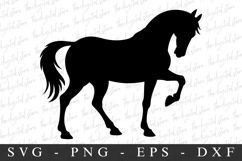 Horse SVG | SVG Cut files | Cricut Product Image 1