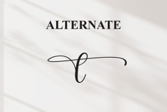 Something Product Image 8