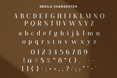 Nexila - Luxury Serif Font Product Image 8