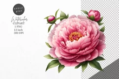 Pink peony clipart, Flowers clipart, Peony clipart Product Image 1
