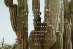 De Martega Display Font Product Image 8