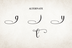 Vintage Original Product Image 8