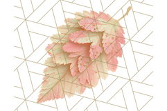 Fall Foliage Clipart PNG, Pink and Green Leaves Product Image 4