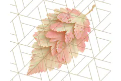 Fall Foliage Clipart PNG, Pink and Green Leaves Product Image 4