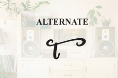 Vintage Product Image 8