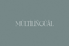 Heatwave - Elegant &amp; Wavy Serif Product Image 8