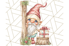 Scandinavian Christmas Gnomes Clipart PNG, Cute Gnome Png Product Image 4