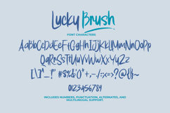 Lucky Brush Product Image 7