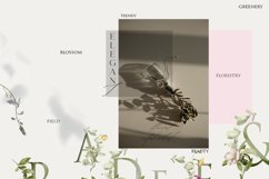 Field summer flowers fruits clipart Product Image 14