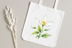 Winter Flowers Watercolor Clipart Bundle | Icy White &amp; Blue Product Image 7