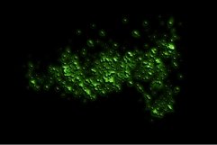 Neon Spray Product Image 8