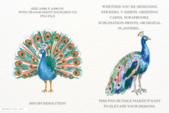 Peacock Garden Clipart Product Image 2