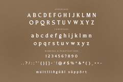Merchad Serif Display Product Image 8