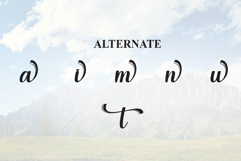 Montana Product Image 8