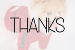 Baby Animal Product Image 8