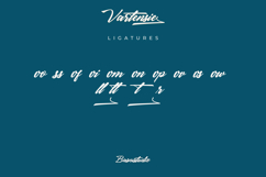 Vartensie Script Font Product Image 8