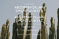 Conega Display Font Product Image 8